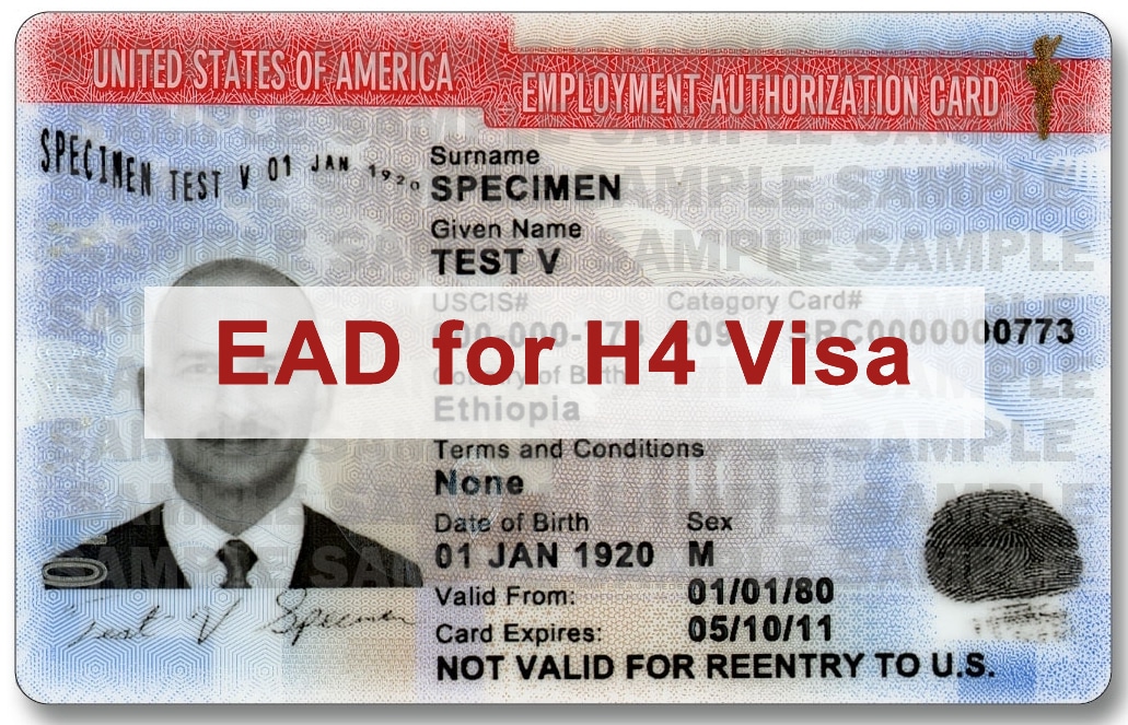 h4 EAD faq card