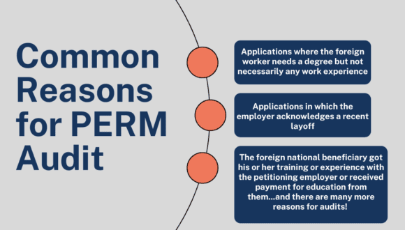 cover photo Top Reasons for L1 Visa Denials (1)