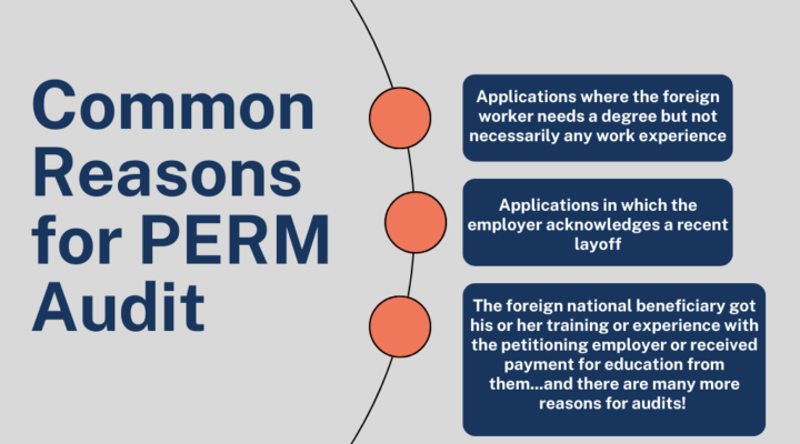 cover photo Top Reasons for L1 Visa Denials (1)