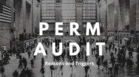 PERM Audit Reasons and Triggers 2020
