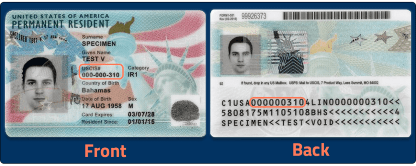 how do i check the status of my employment authorization card