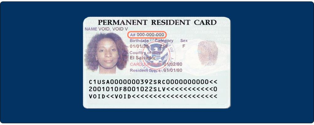 Alien Registration Number on Green Card 2023