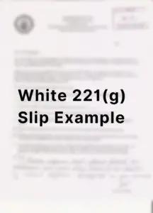 White 221(g) Slip Example Photo