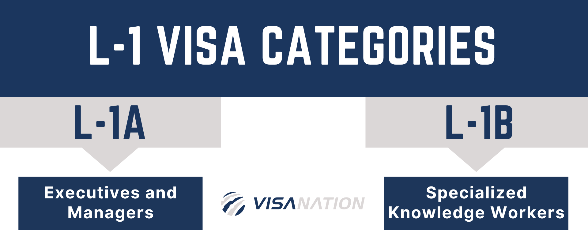 L1 Visa Denial Top Reasons Rates Options 2023 Edition 52 OFF