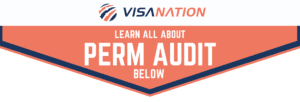 PERM audit graphic