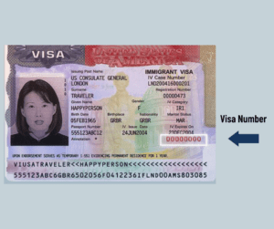 Visa Number
