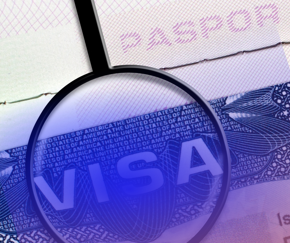 H 1B MEANING AND DEFINITION visual data 8