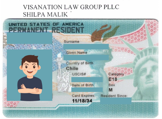 Green Card for executive in wood industry