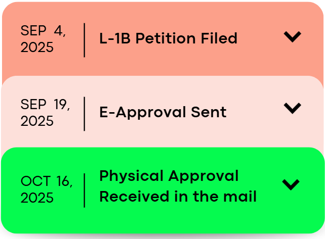 L1b approval for substatial engineer